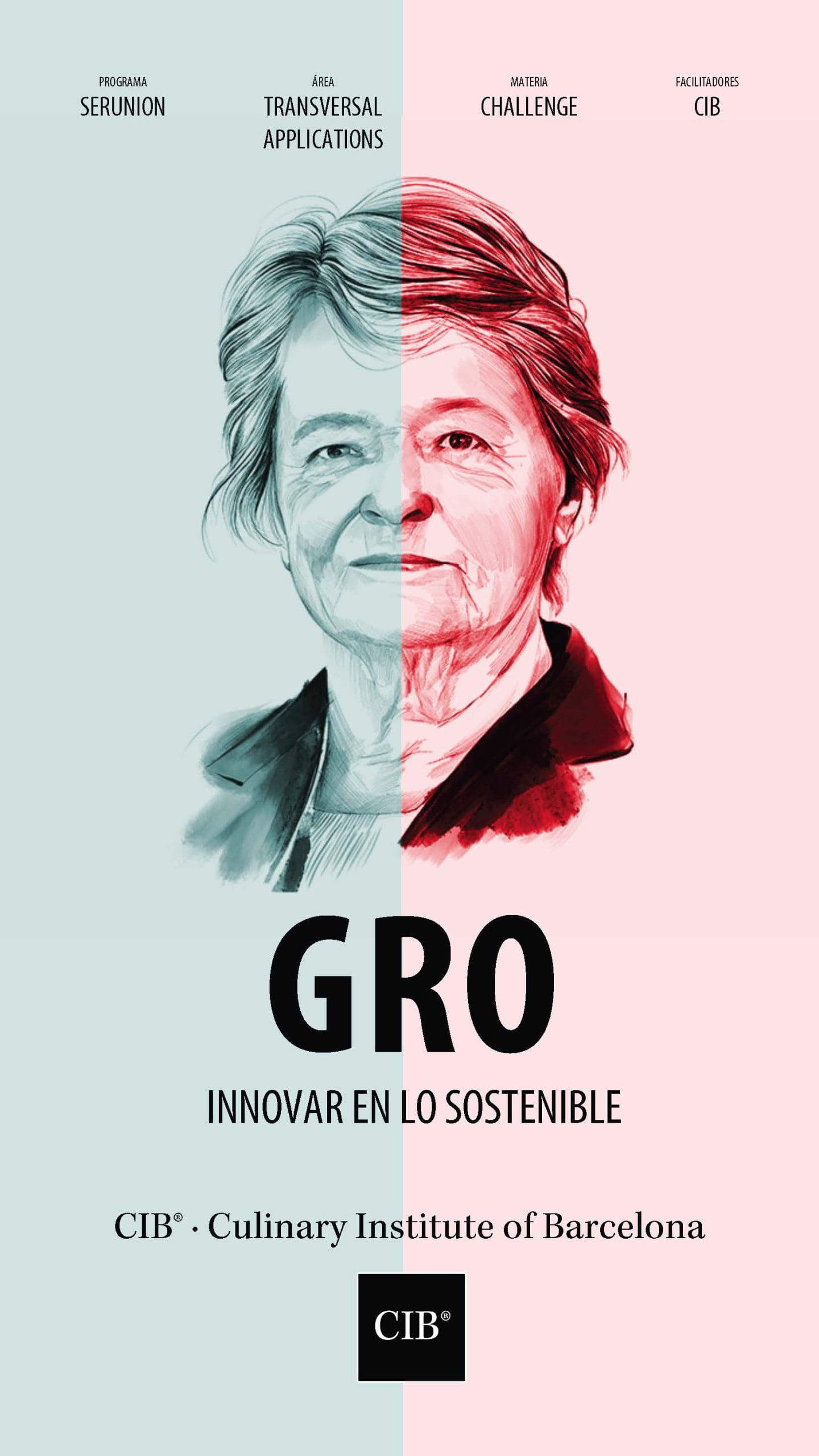 opencib-carteleria-013