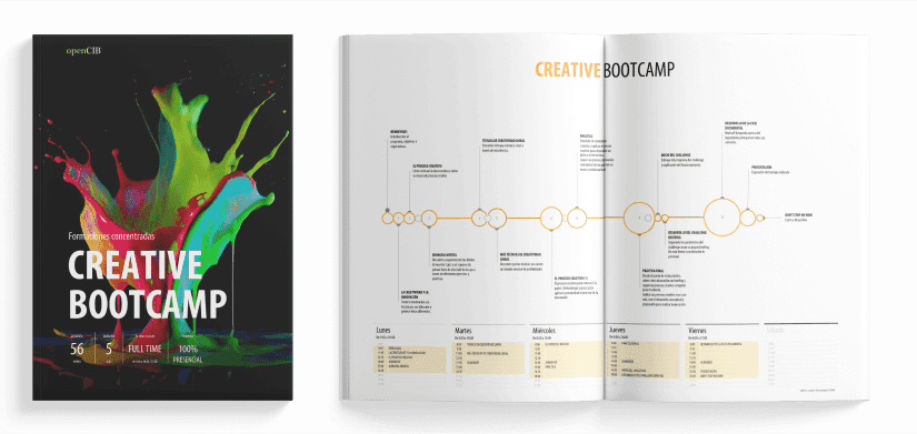section-guia-bootcamps